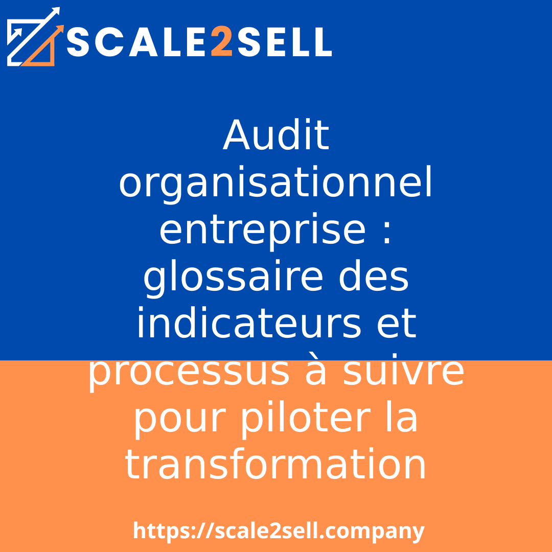 Audit organisationnel entreprise : glossaire des indicateurs et processus à suivre pour piloter la transformation episode artwork
